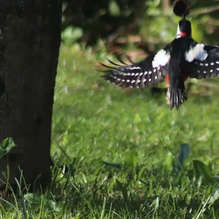 Acquavilla Gospodarstwo agroturystyczne *