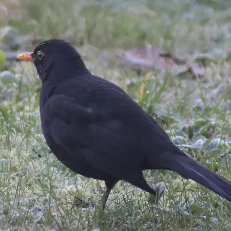 Gospodarstwo agroturystyczne Acquavilla Pombal (Leiria)