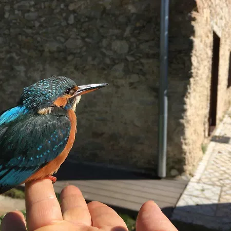 Acquavilla Lantgård *