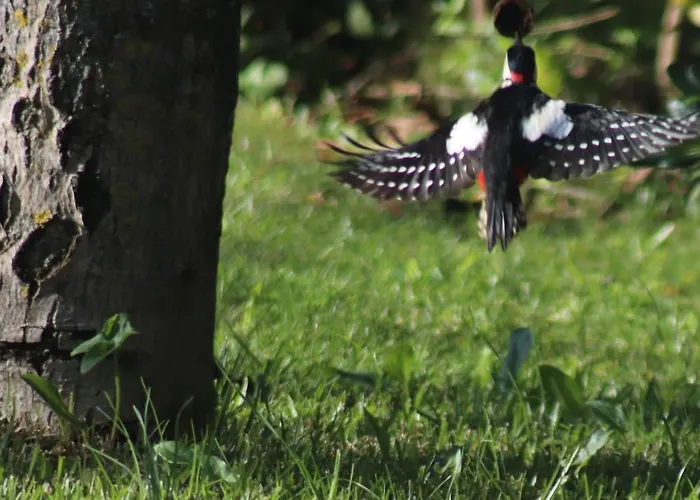 Acquavilla مزرعة للإقامة *