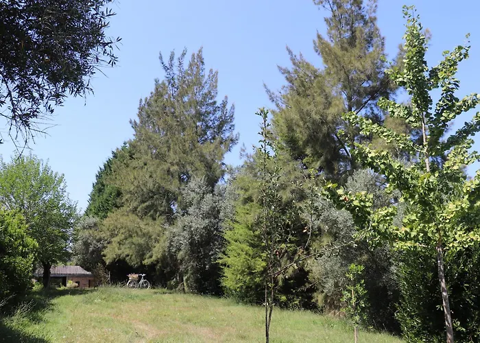 مزرعة للإقامة Acquavilla *