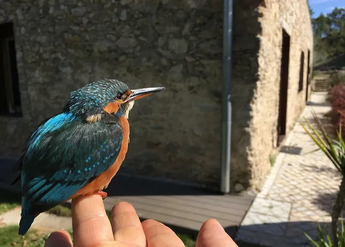 Acquavilla مزرعة للإقامة *